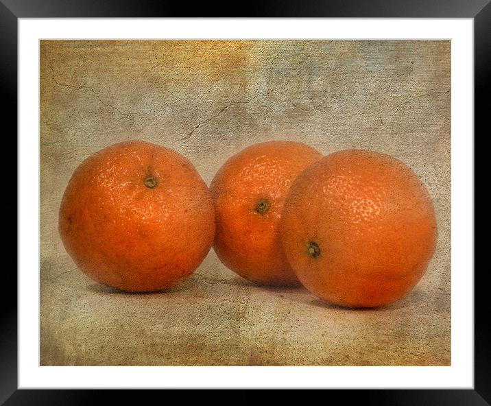 Oranges Framed Mounted Print by Mike Sherman Photog
