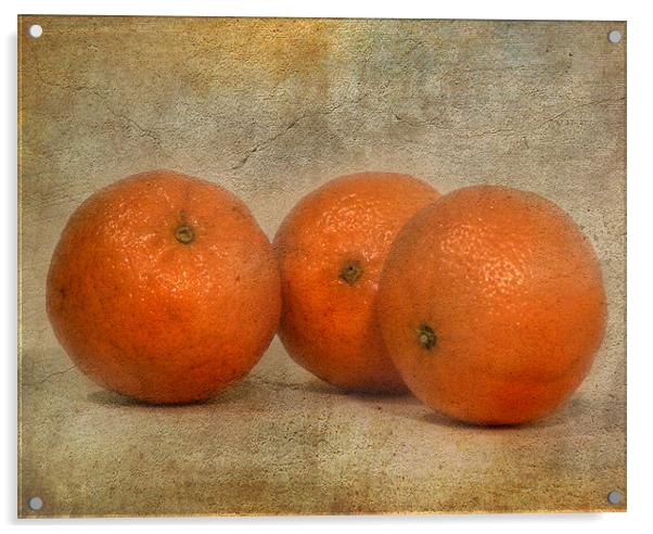 Oranges Acrylic by Mike Sherman Photog