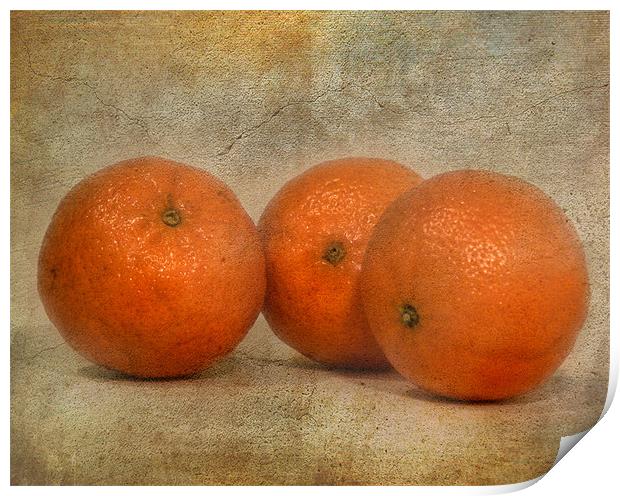 Oranges Print by Mike Sherman Photog
