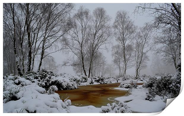 Cheshire snow drift Print by Shaun Cope