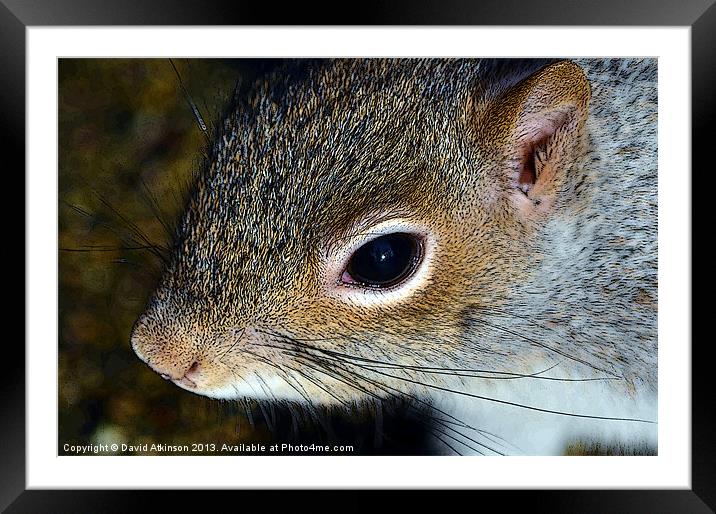 LOOK INTO MY EYE Framed Mounted Print by David Atkinson