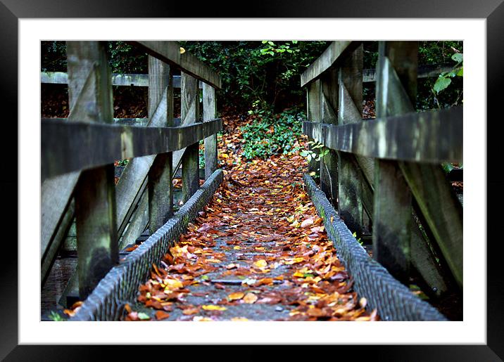 Fallen Framed Mounted Print by Rudy Monthy