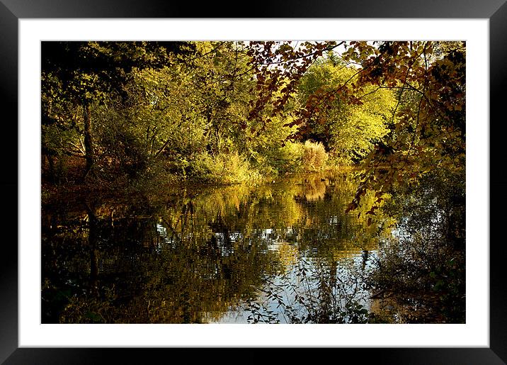 English Lakeside Framed Mounted Print by Rudy Monthy