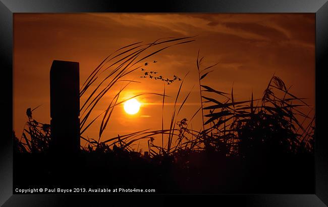 Sunset On The Marsh Framed Print by Paul Boyce