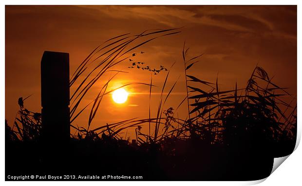 Sunset On The Marsh Print by Paul Boyce