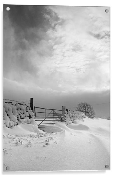Snowy Gate Acrylic by Heather Athey
