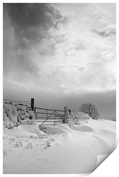 Snowy Gate Print by Heather Athey