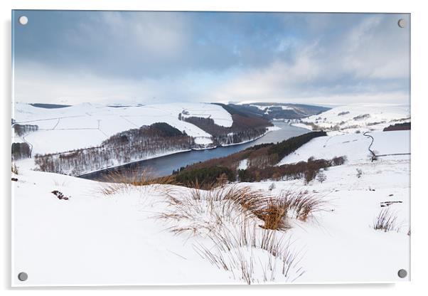 Lead Hill Acrylic by Jonathan Swetnam