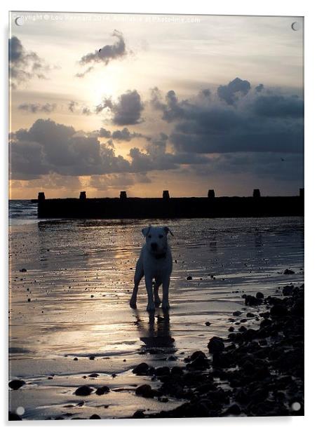 Puppy on the beach Acrylic by Lou Kennard