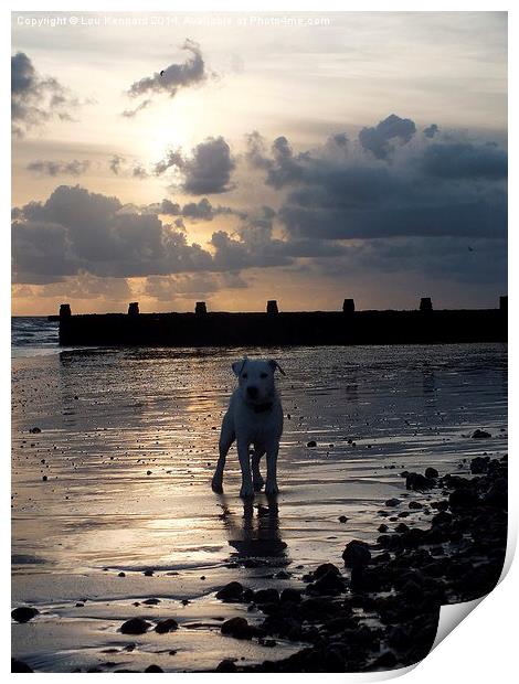 Puppy on the beach Print by Lou Kennard