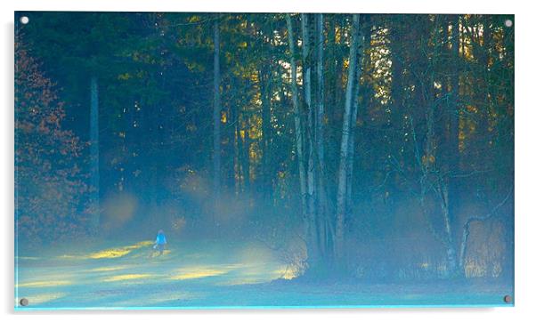 Walking In Woods  Acrylic by Robert Gillespie