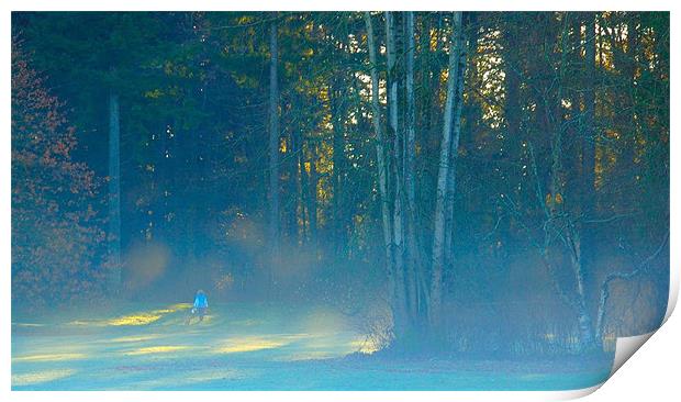Walking In Woods  Print by Robert Gillespie