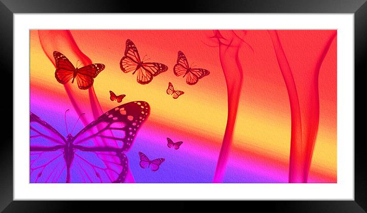 fly past the flames 4 Framed Mounted Print by Emma Ward