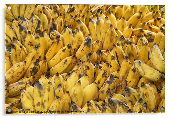 Yellow Bananas Acrylic by Paul Corrigan