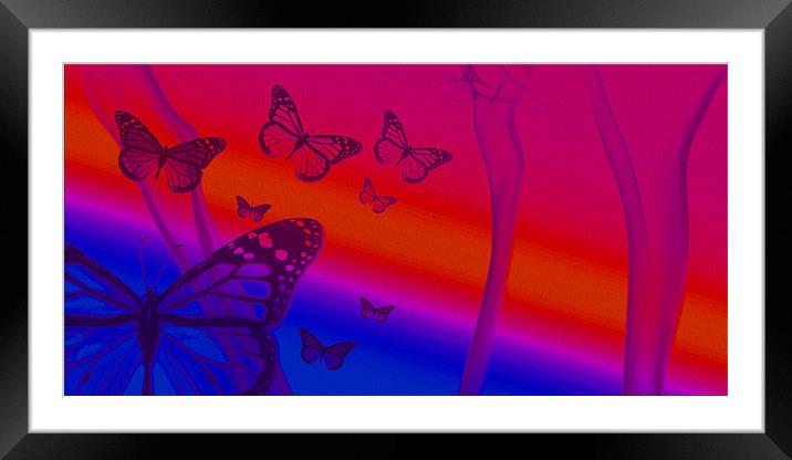 fly past the flames 5 Framed Mounted Print by Emma Ward