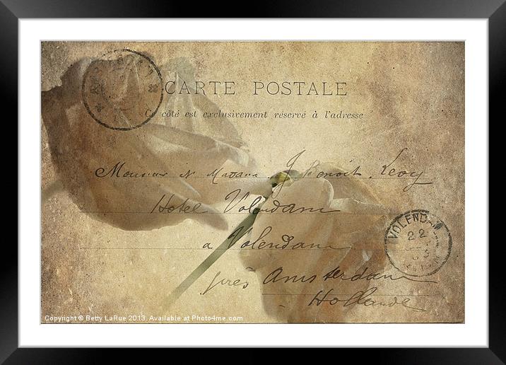 Carte Postale Framed Mounted Print by Betty LaRue