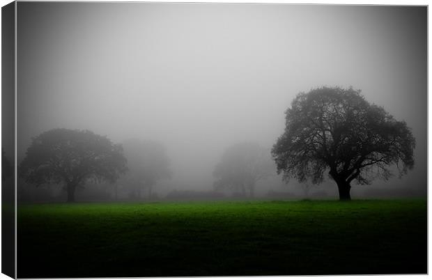MISTY MEADOW Canvas Print by simon keeping