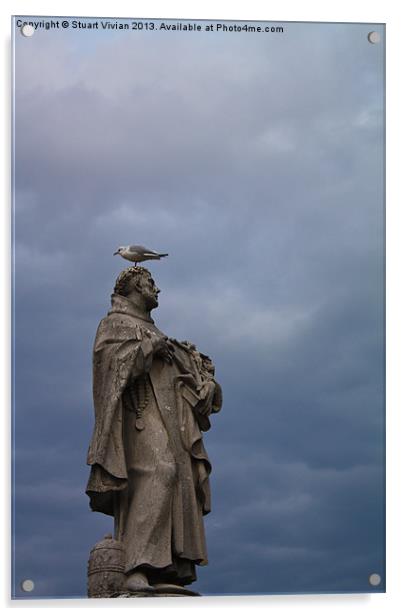 Seagull on Statue Acrylic by Stuart Vivian
