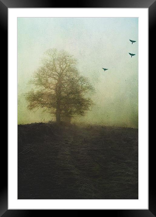 On the edge of Darkness Framed Mounted Print by Dawn Cox