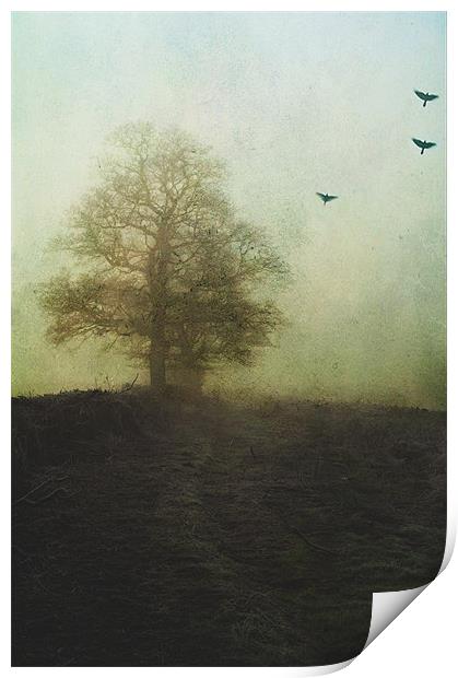 On the edge of Darkness Print by Dawn Cox