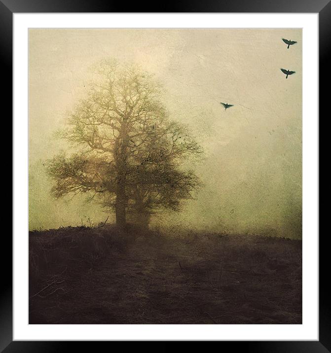 lost in the fog Framed Mounted Print by Dawn Cox