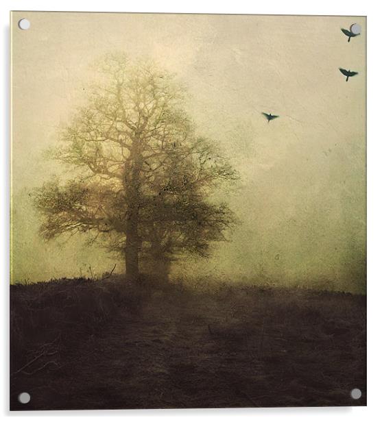 lost in the fog Acrylic by Dawn Cox