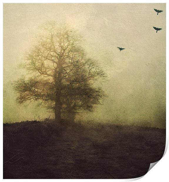 lost in the fog Print by Dawn Cox