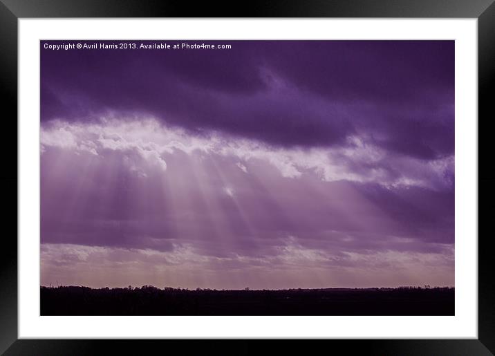 Purple rays Framed Mounted Print by Avril Harris