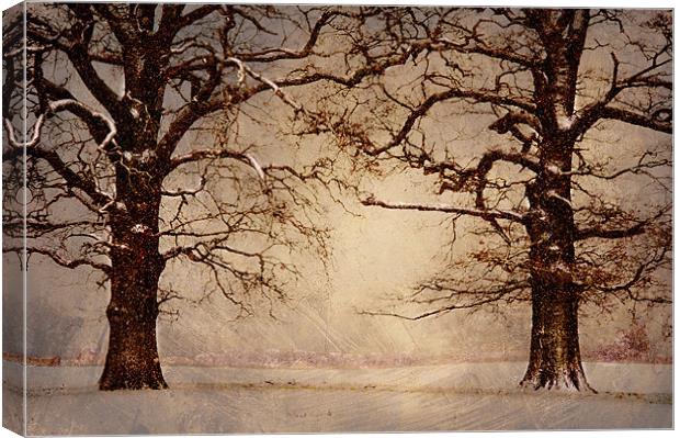 Winter at its coldest Canvas Print by Dawn Cox