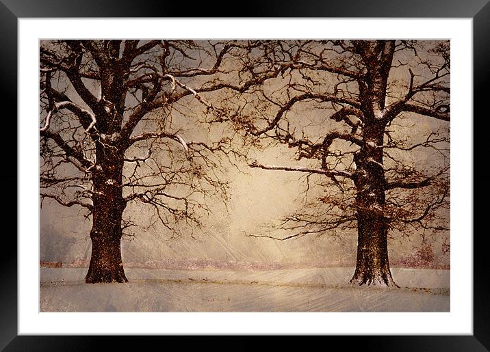 Winter at its coldest Framed Mounted Print by Dawn Cox