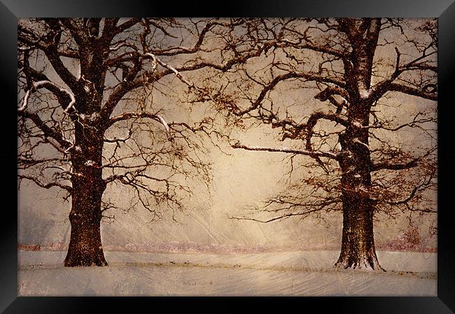 Winter at its coldest Framed Print by Dawn Cox