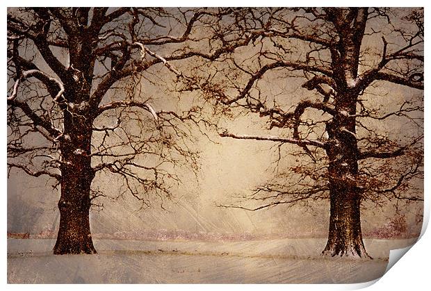 Winter at its coldest Print by Dawn Cox