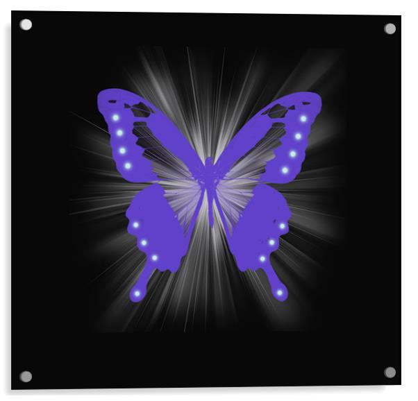Star Butterfly 4 Acrylic by Emma Ward
