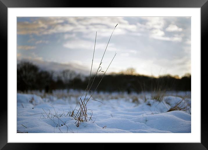 Winter and life Framed Mounted Print by Rudy Monthy