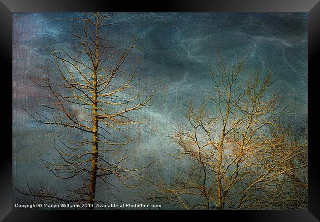 Winter Storm Framed Print by Martyn Williams