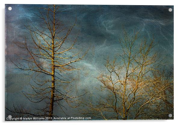Winter Storm Acrylic by Martyn Williams