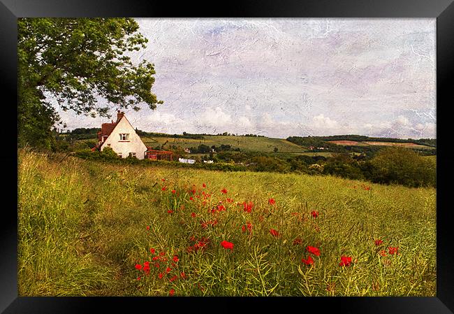 Rural Kent Framed Print by Dawn Cox
