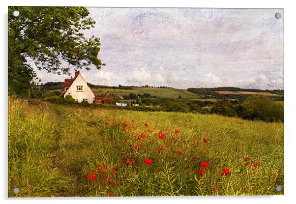 Rural Kent Acrylic by Dawn Cox
