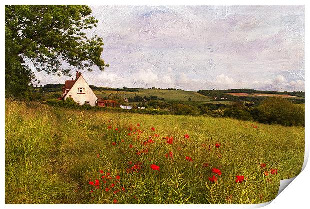 Rural Kent Print by Dawn Cox