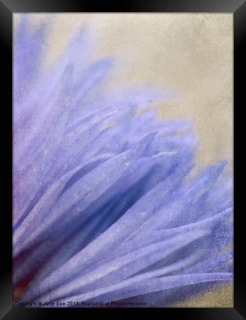 Petals of Blue Framed Print by Julie Coe