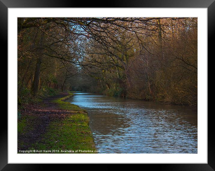 Canal under Cover Framed Mounted Print by Avril Harris