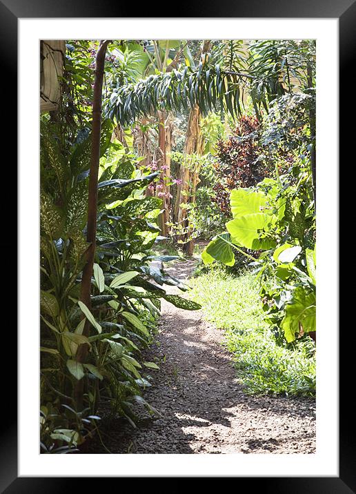 Come walk with me Framed Mounted Print by Arfabita  