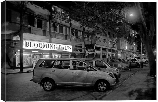 Bloomingdales in Goa under streetlight Canvas Print by Arfabita  