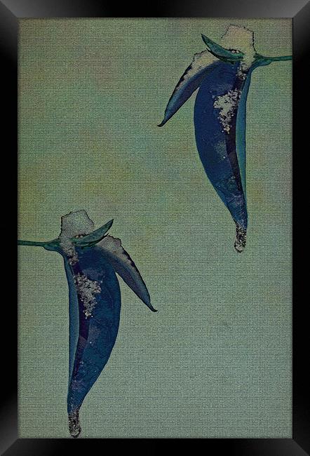 Blue snowy leaves. Framed Print by Nadeesha Jayamanne
