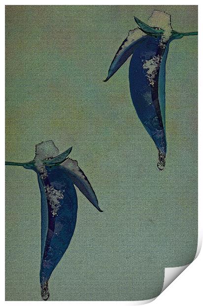Blue snowy leaves. Print by Nadeesha Jayamanne