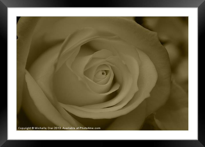 Softness Framed Mounted Print by Michelle Orai