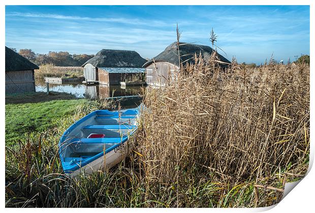 Hickling Boathouse Print by Stephen Mole