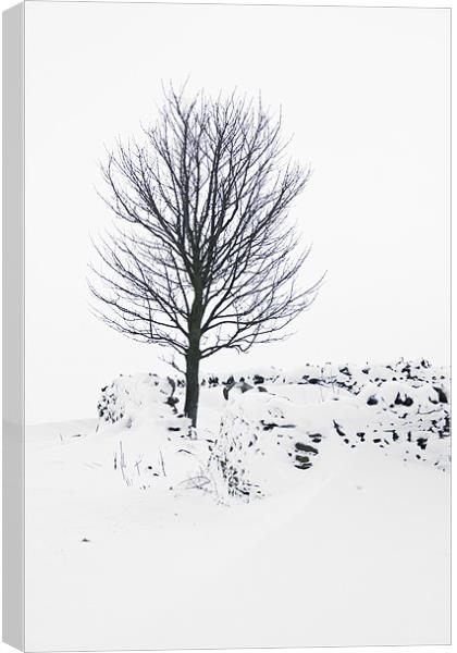 Silent Winter Canvas Print by Heather Athey