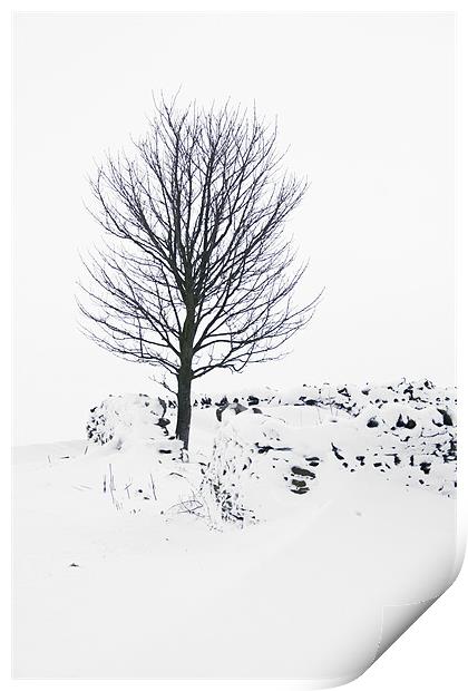 Silent Winter Print by Heather Athey