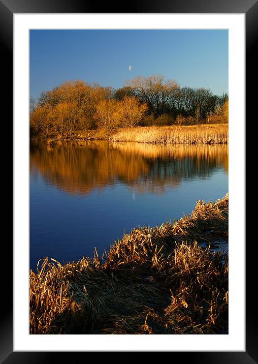 Denaby Ings Nature Reserve Framed Mounted Print by Darren Galpin